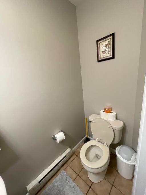 Quiet Private House W Hot Tub/fire Pit/games Blakeslee
